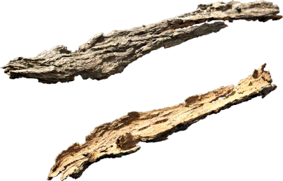 tree bark 001 — Descargar