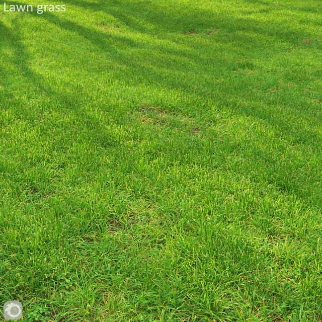 Grass lawn — Descargar