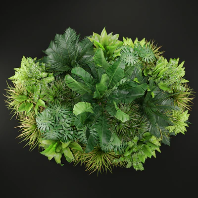 Plants collection 445 — Ver 2