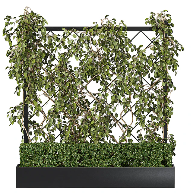 Vertical Garden - Planter with trellis — Скачать
