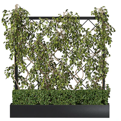 Vertical Garden - Planter with trellis — Вид 1