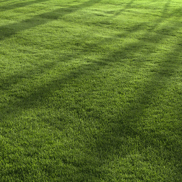 Garden Lawn 6 — Скачать
