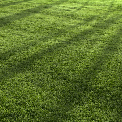 Garden Lawn 6 — Вид 1