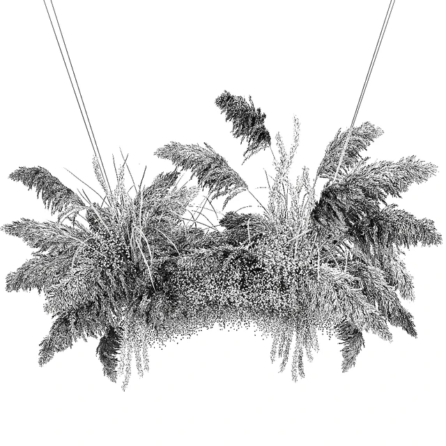 Suspended installation of dried flowers from pampas, Pampas grass, suspension, branches, wedding decoration. Bouquet 200. — Descargar