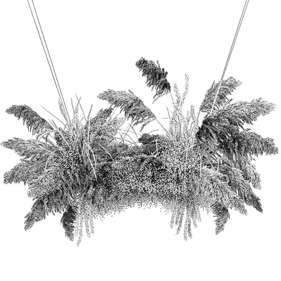 Suspended installation of dried flowers from pampas, Pampas grass, suspension, branches, wedding decoration. Bouquet 200. — Ver 3