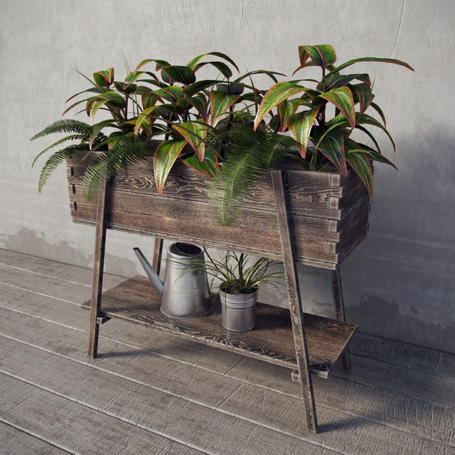 Terrace plants — Descargar