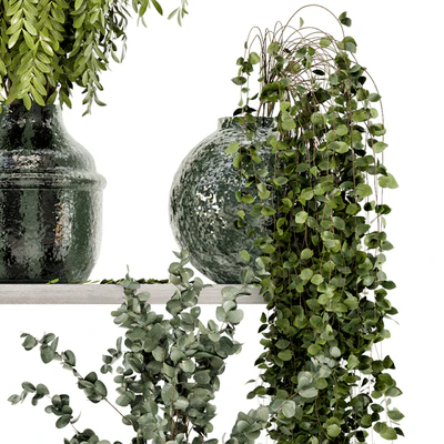 Collection Indoor Plants in Glass Pots - Set 695 — Ver 3