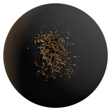 dry leaf debris 006 — Скачать