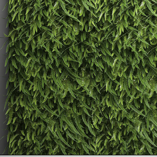 Vertical garden 17. FERN. Fern, phytowall, wall decor, phytomodule, bushes — Descargar