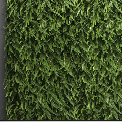 Vertical garden 17. FERN. Fern, phytowall, wall decor, phytomodule, bushes — Ver 2