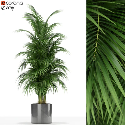 Plants collection 176 — Ver 1