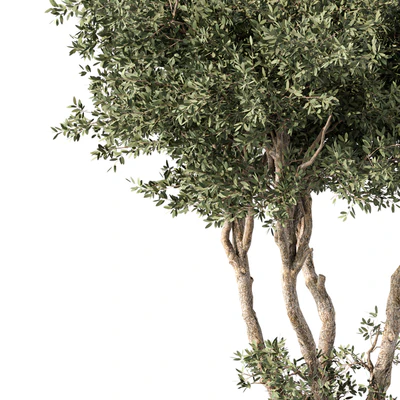 Tree No.65 — Ver 2