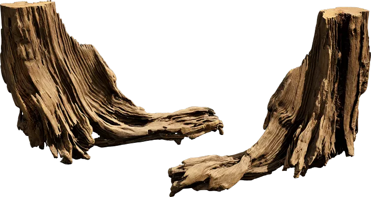 driftwood 001 — Descargar