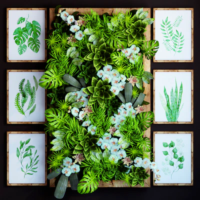 Green wall — Вид 1