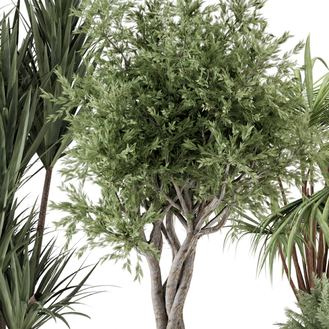 Indoor Plants in Ferm Living Bau Pot Large - Set 817 — Скачать