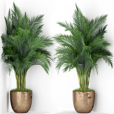 Plants collection 386 — Ver 1
