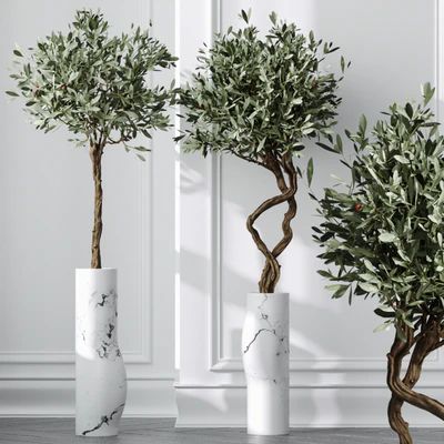 HQ Plants Mission Olive Tree Indoor Vase Set003 — View 3