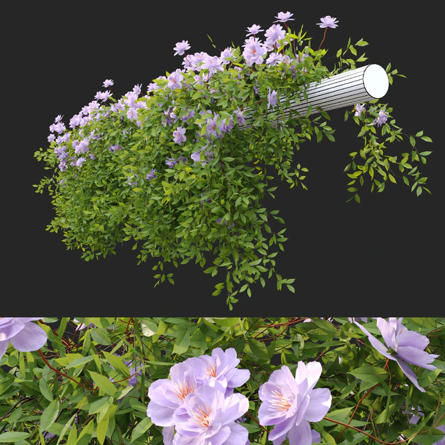 Hanging Plant 37 — Descargar