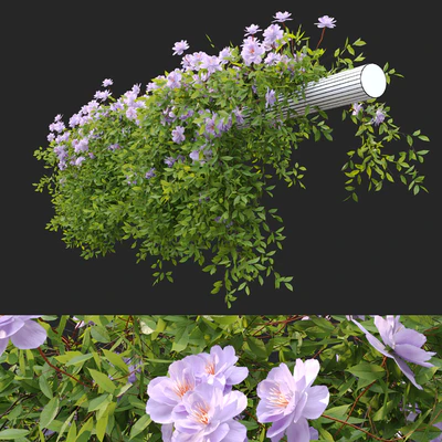 Hanging Plant 37 — Ver 3