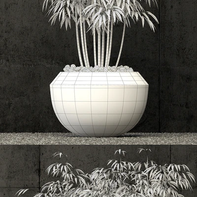 Plants collection 66 — Вид 2