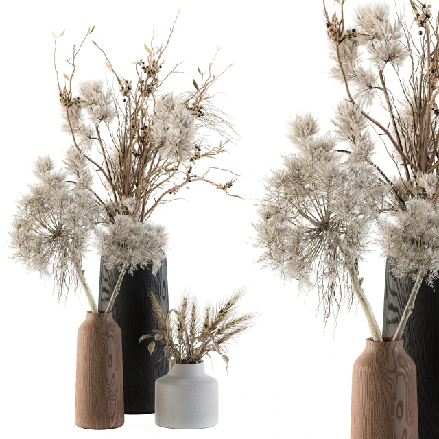 Dry plants 33 - Pampas and Dried Branch — Скачать