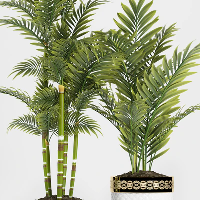 PLANTS 117 — Ver 2