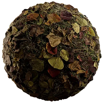 fallen leaves 022 — Descargar