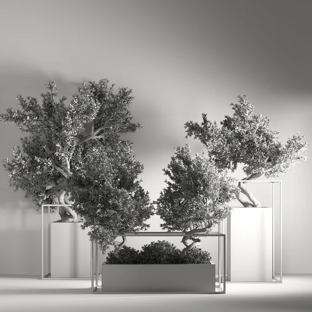 indoor plant bonsai set 24 — Descargar