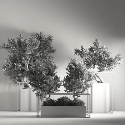 indoor plant bonsai set 24 — Ver 4