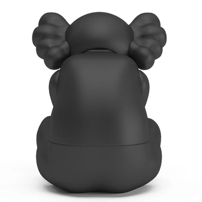 Kaws Separated — View 3