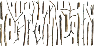 wooden sticks and twigs 002 — Descargar