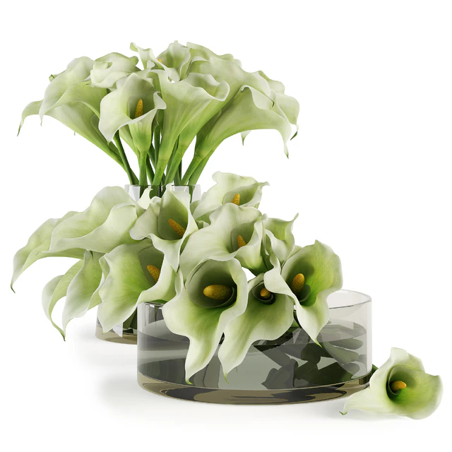 Calla lilies bouquets — Descargar