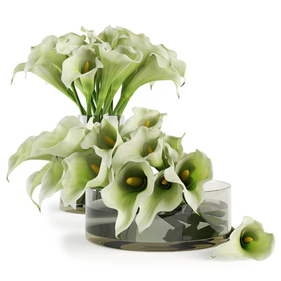 Calla lilies bouquets — Ver 4