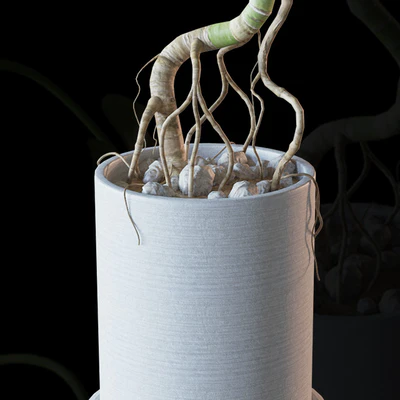 Home plant v2 (Realistic) — Вид 3