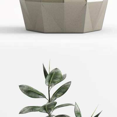 Plants and Planters  9 (Ficus Elastica) — Ver 2