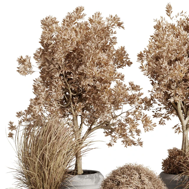 Dry Grass and Trees in a Concrete Pot - Indoor plant autumn set 570 — Скачать