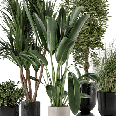 Indoor Plants in Ferm Living Bau Pot Large - Set 312 — Вид 3