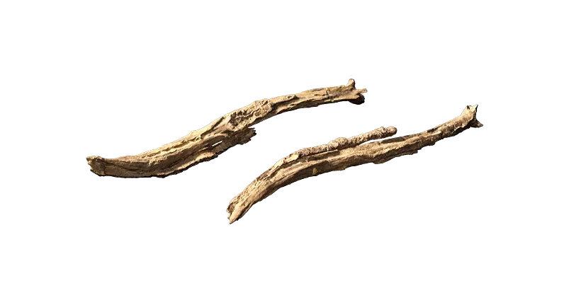 tree debris 002 — Скачать