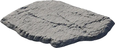 beach rock shelf 001 — download