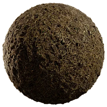 dried grass on damp soil 007 — Descargar