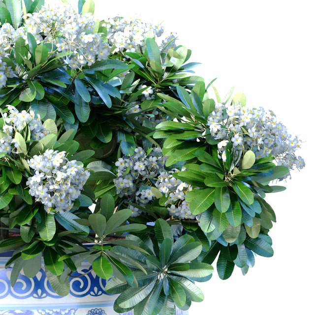 Bouquet of white flowers in a potted vase for decoration — Descargar