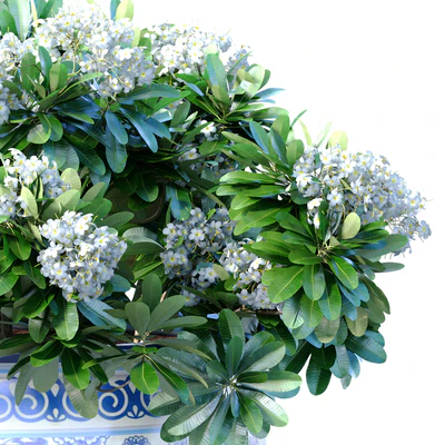 Bouquet of white flowers in a potted vase for decoration — Ver 2