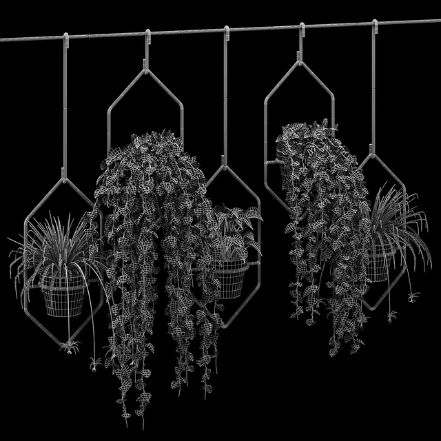 Ampelous plant — Descargar