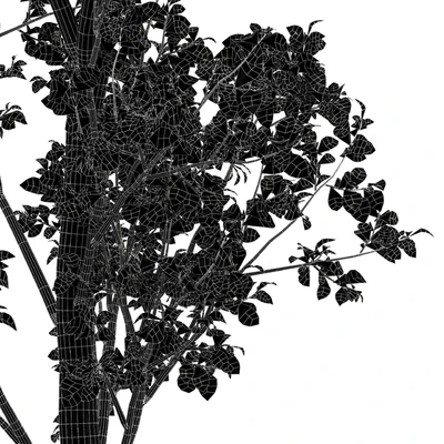 beautiful hazel leaves — Ver 2