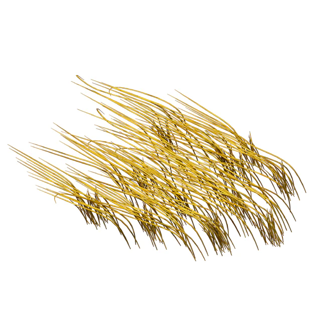 Трава в воде. Водоросли. Цицания водная. Водяная трава. — Скачать