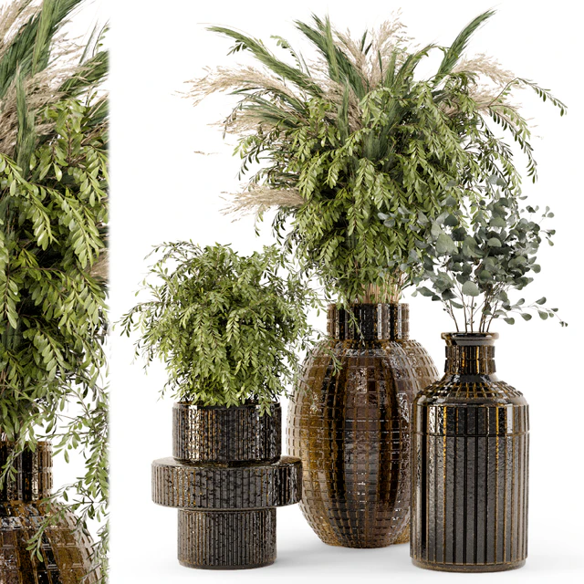 Collection Indoor Plants in Glass Pots - Set 701 — Descargar