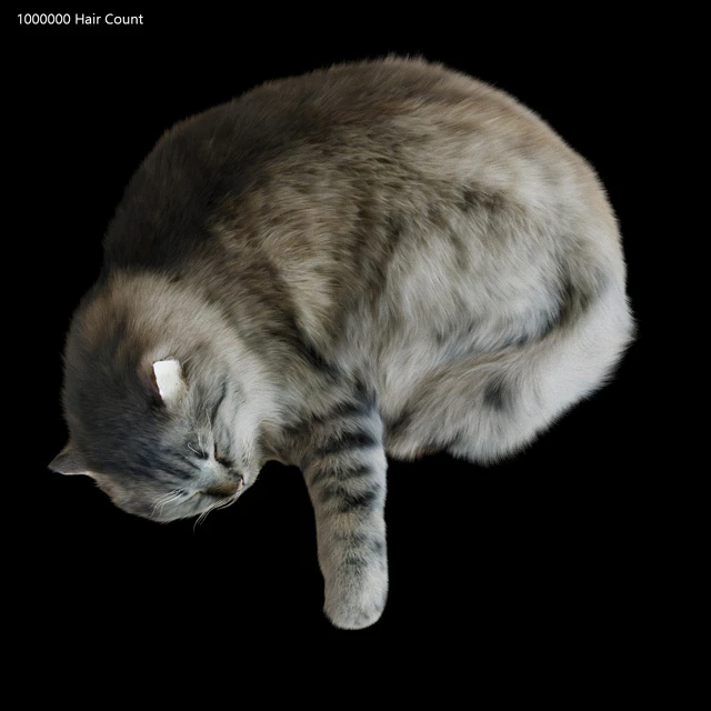 Cat Corona — Descargar