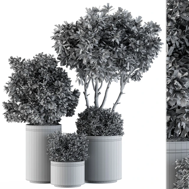 indoor Plant Set 105 - Black and Gold — Скачать