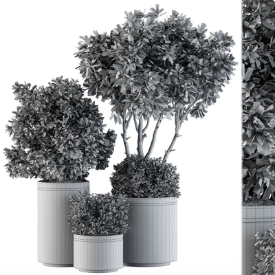indoor Plant Set 105 - Black and Gold — Вид 4