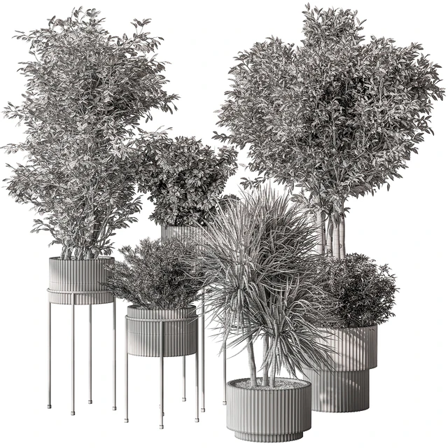 Indoor Plant 532 -Tree in Pot — Скачать